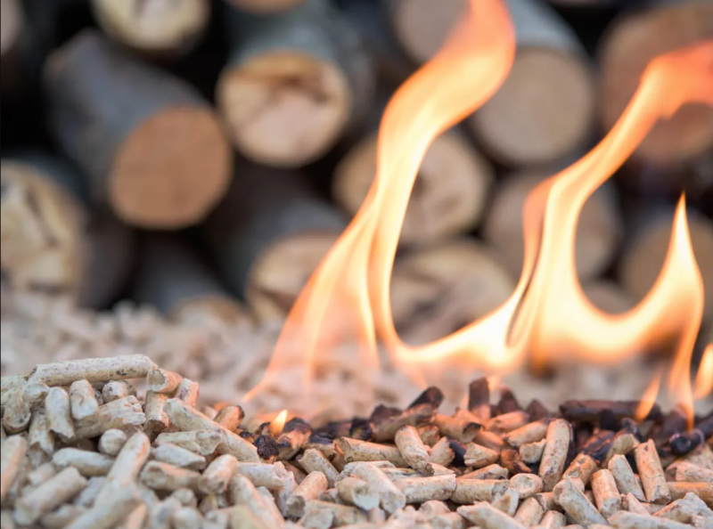 Why should you be careful when choosing biomass wood pellets suppliers?