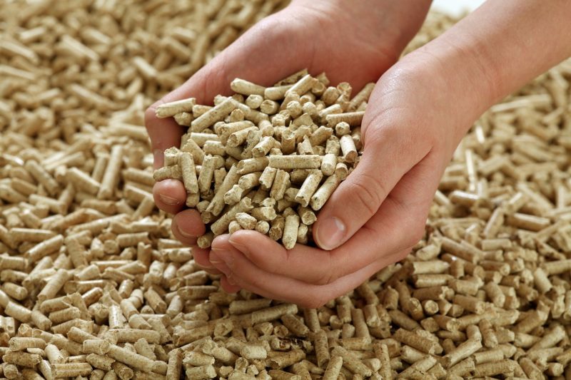 VietnamWood providing cheap wood pellet biomass contacts