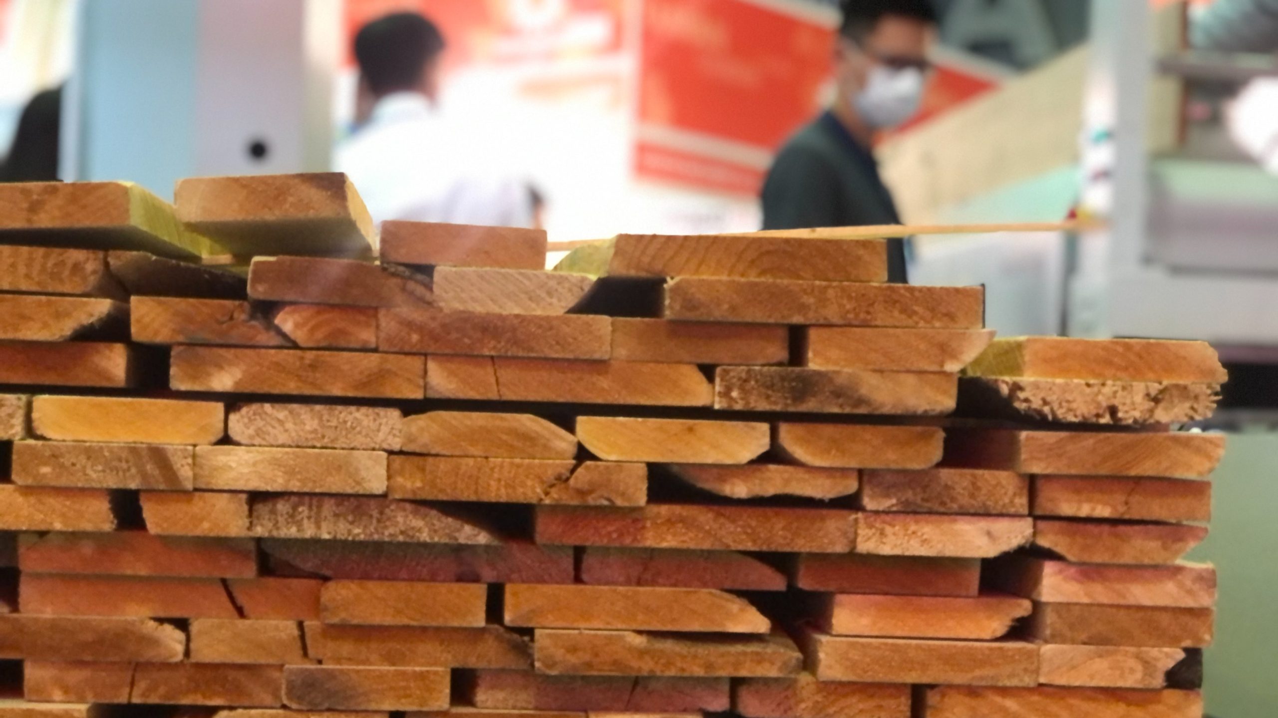 Vietnam wood export