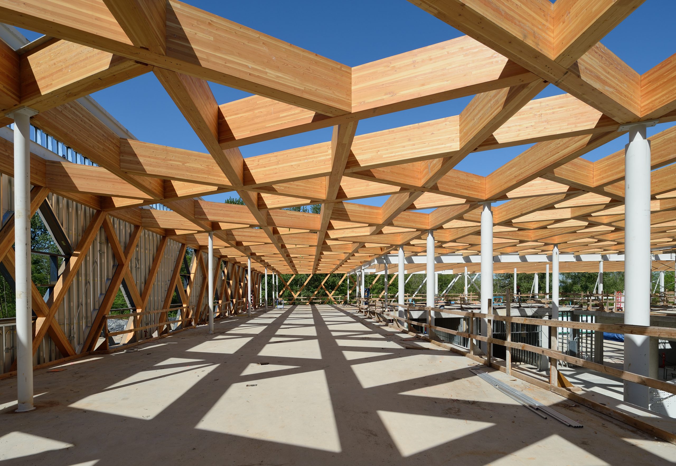 mass timber